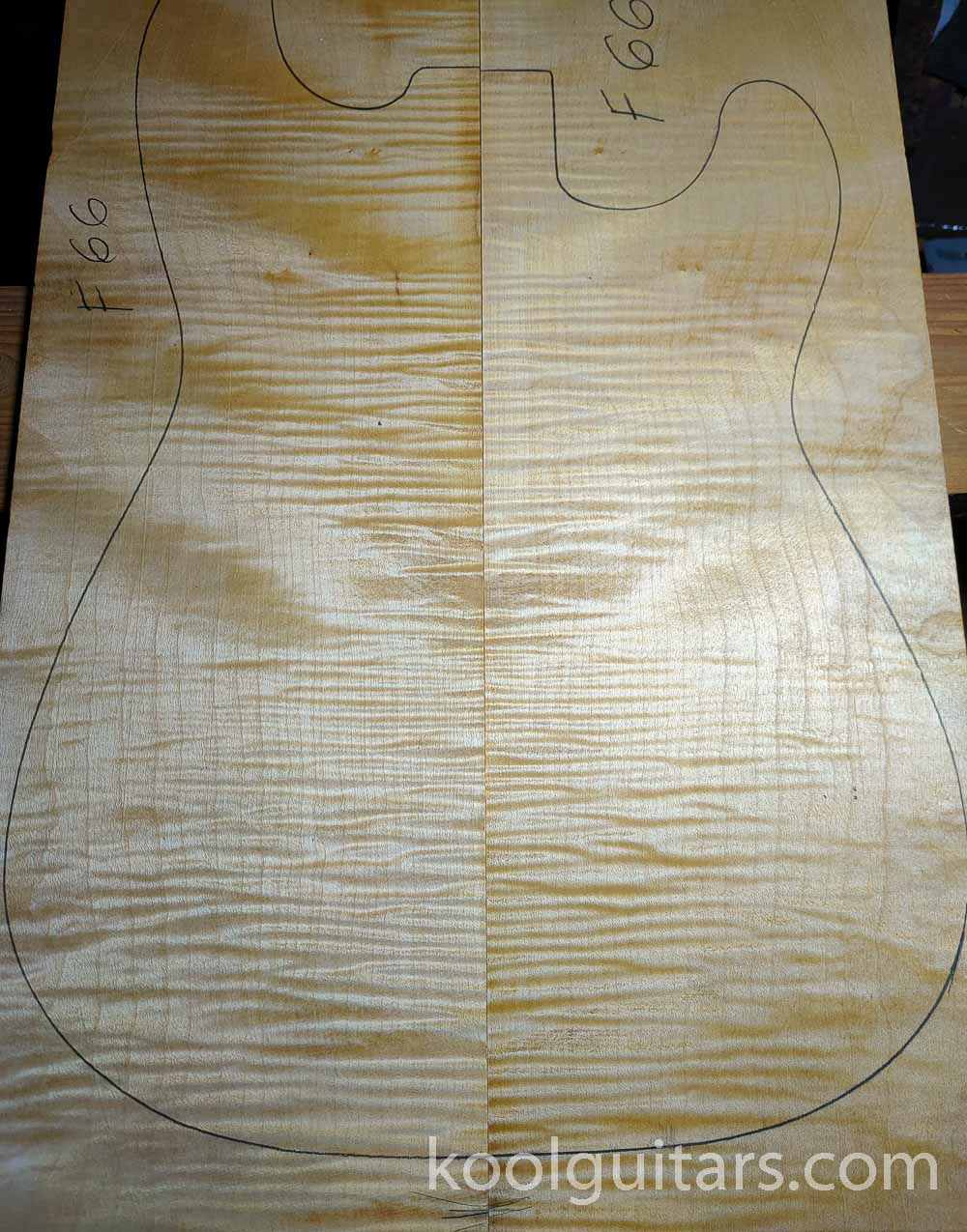 Electric OUD 7 steel strings, Tiger maple top