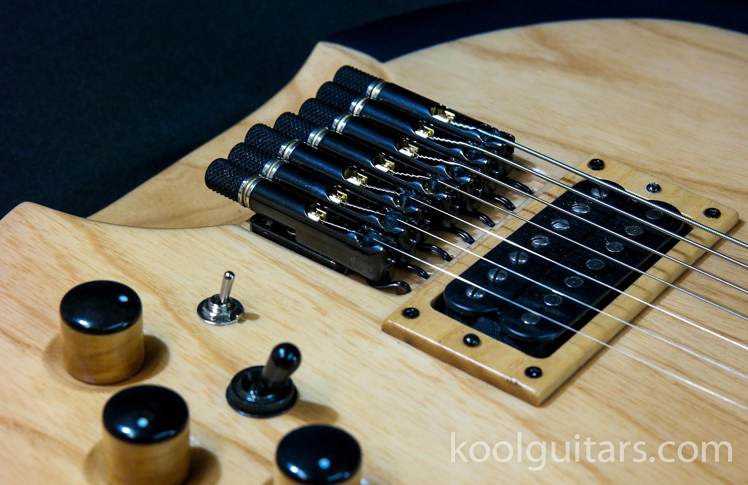 koolguitars, kool guitars, oud, oud elettrico, fretlessguitar